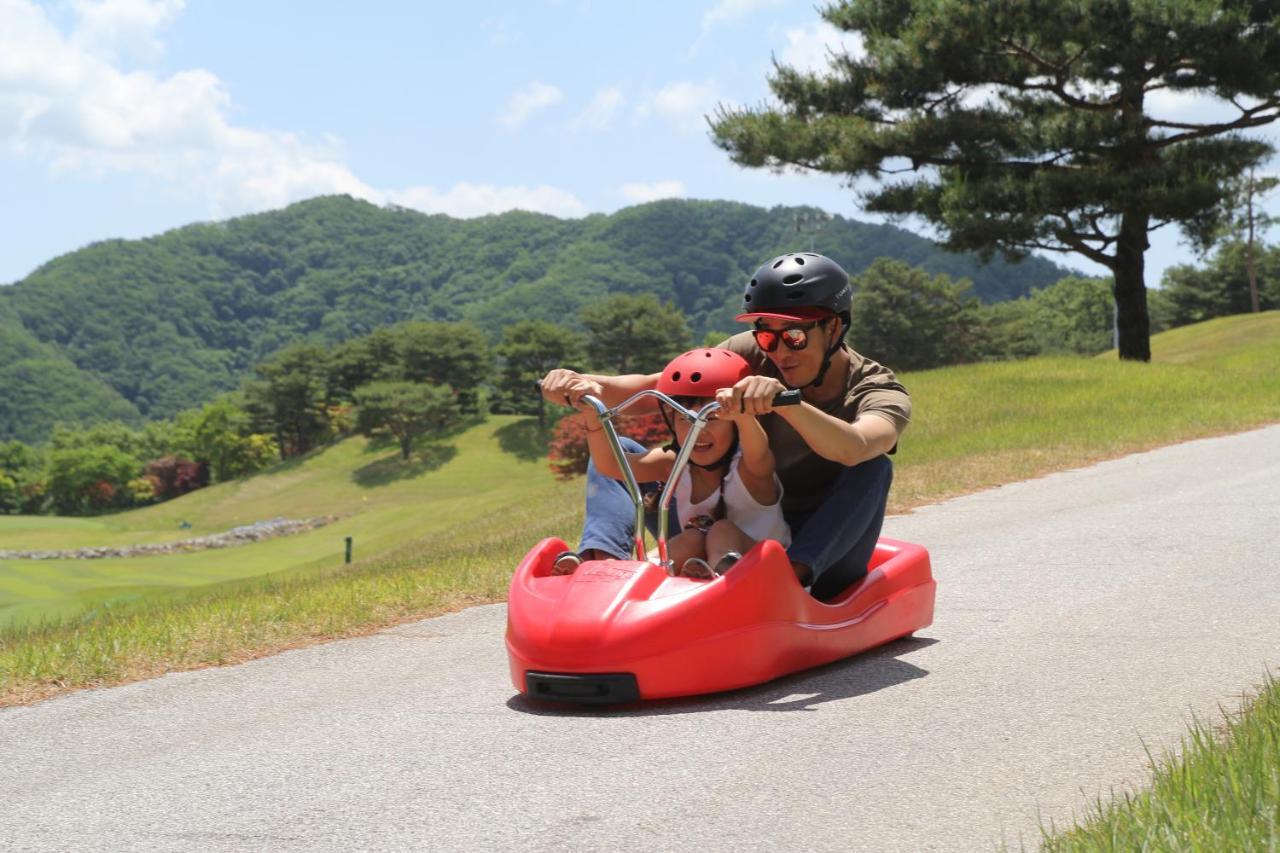 Hotel Bears Town Pocheon Esterno foto