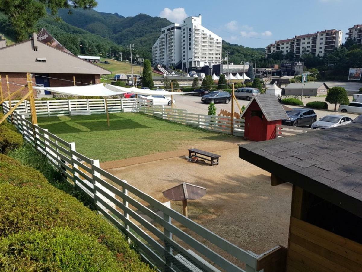 Hotel Bears Town Pocheon Esterno foto